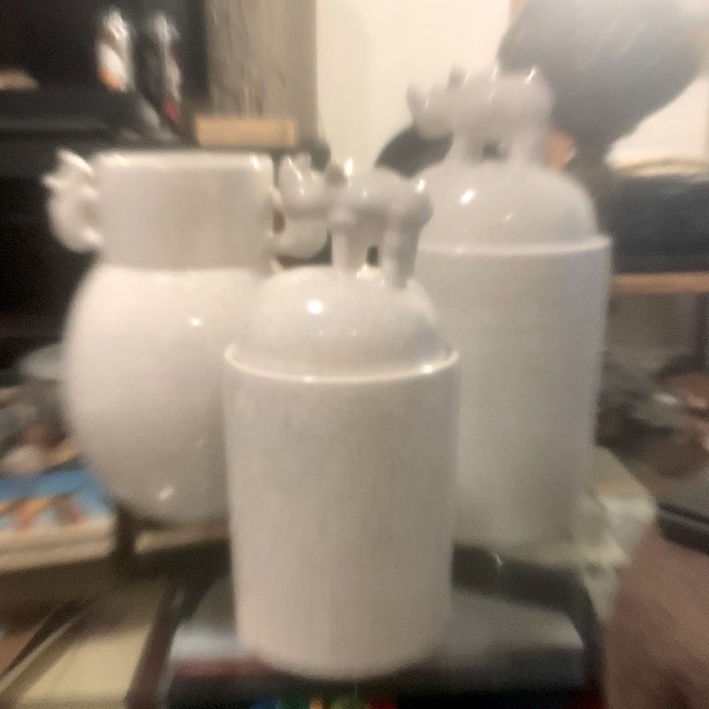 Kitchen Counter Containers